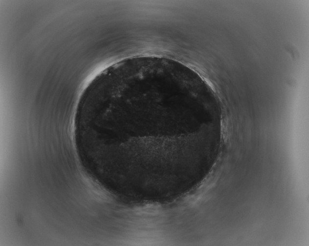 X0000113860196200910081713