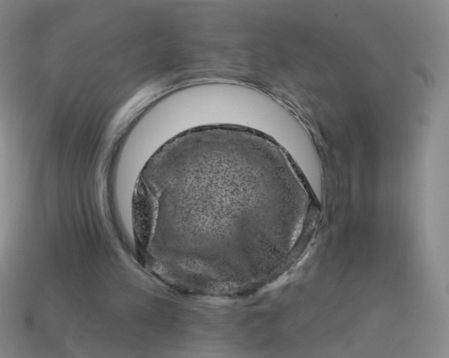 X0000113860197200910081713