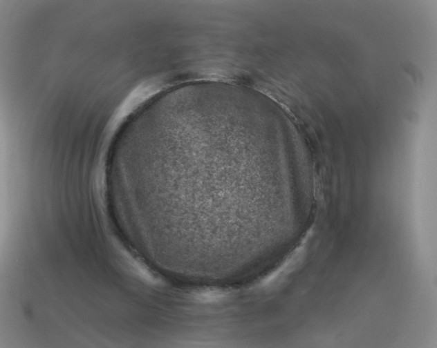 X0000113860198200910081713