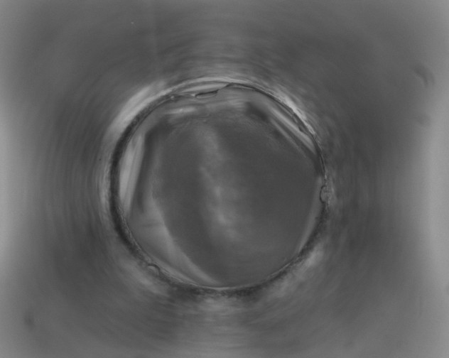 X0000113860199200910081713
