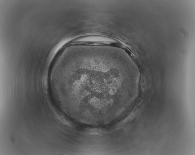 X0000113860200200910081713