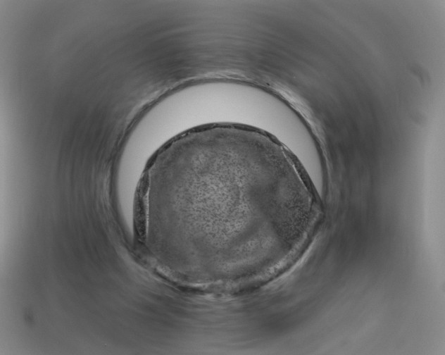 X0000113860201200910081713