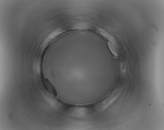 X0000113860203200910081713
