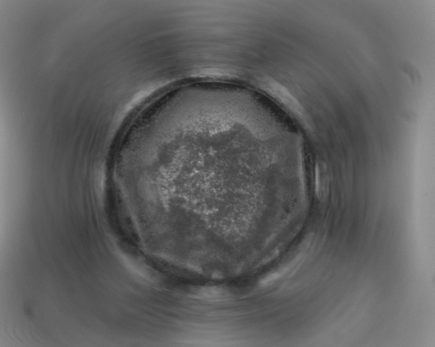 X0000113860204200910081713