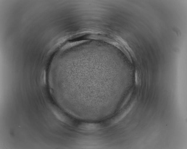 X0000113860205200910081713