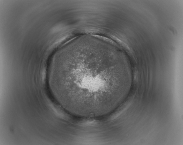 X0000113860206200910081713