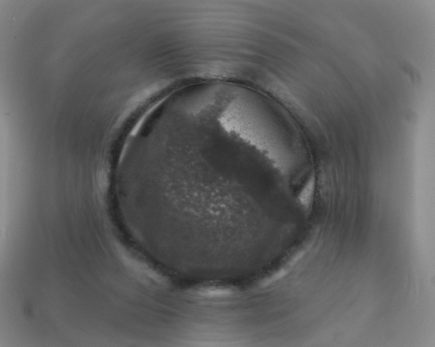 X0000113860208200910081713