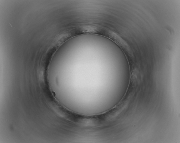 X0000113860209200910081713