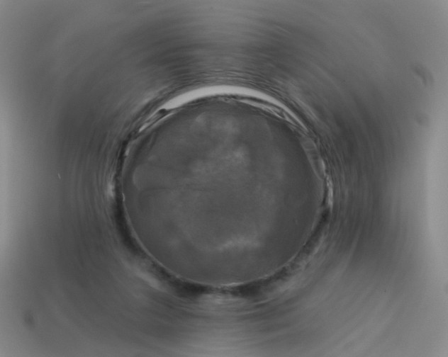 X0000113860211200910081713