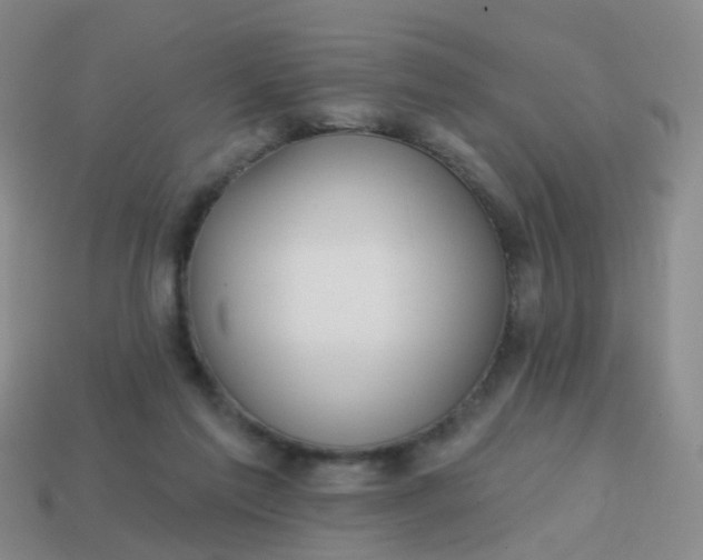 X0000113860213200910081713