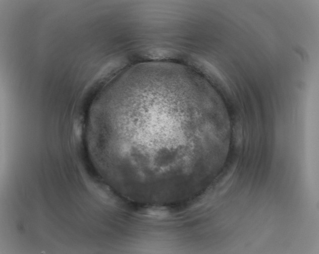 X0000113860214200910081713