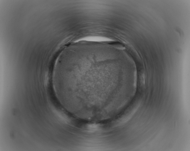 X0000113860216200910081713