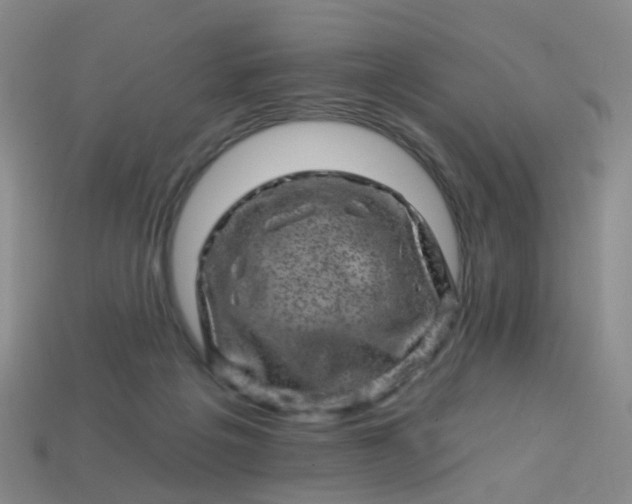 X0000113860217200910081713