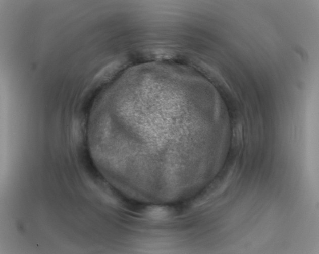 X0000113860218200910081712