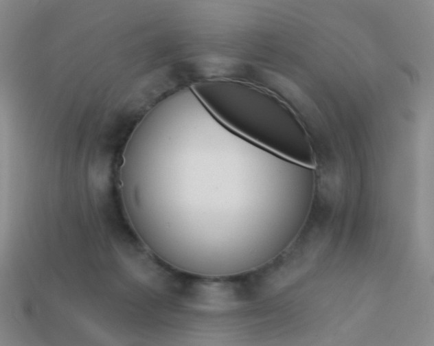 X0000113860221200910081712