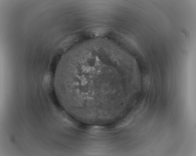 X0000113860222200910081712