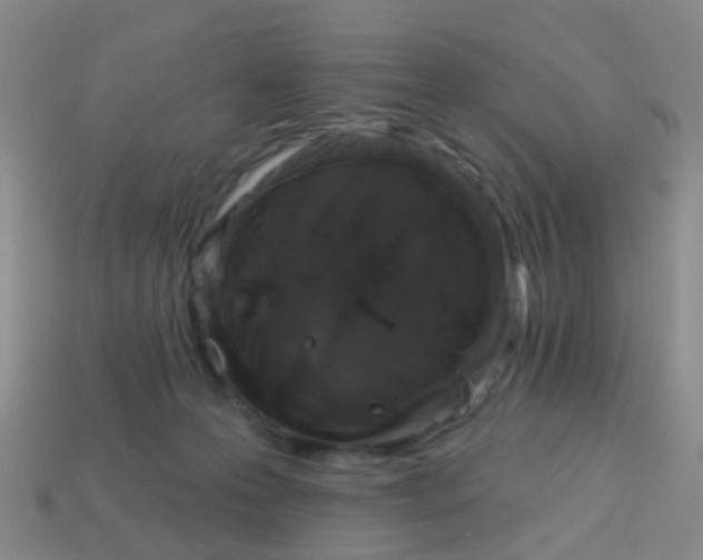X0000113860223200910081712