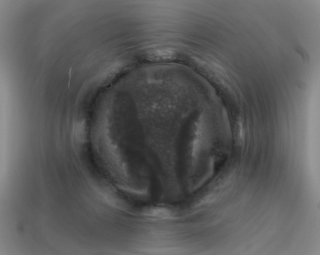 X0000113860224200910081712