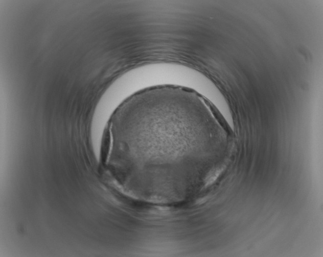X0000113860227200910081712