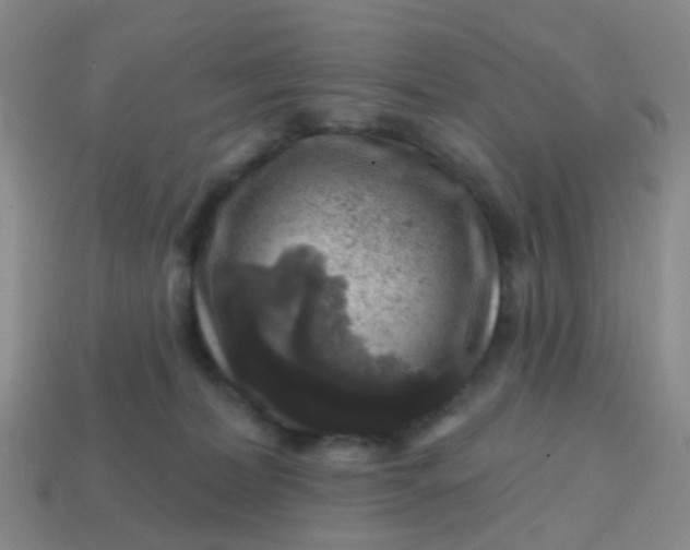 X0000113860228200910081712
