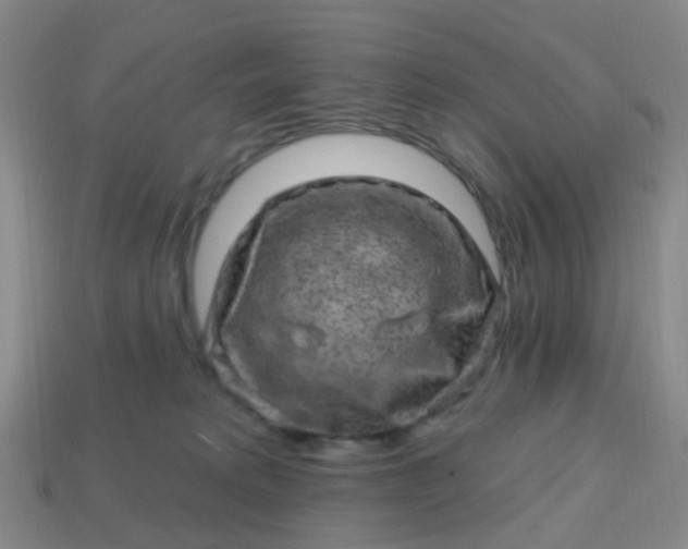 X0000113860229200910081712