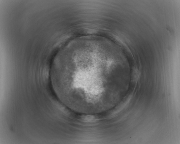 X0000113860230200910081712