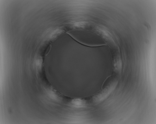 X0000113860231200910081712