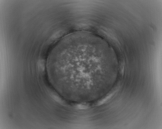 X0000113860232200910081712