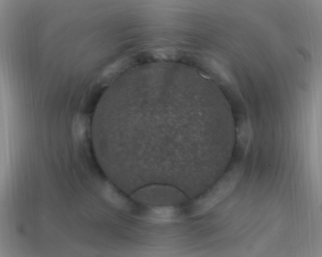 X0000113860233200910081712