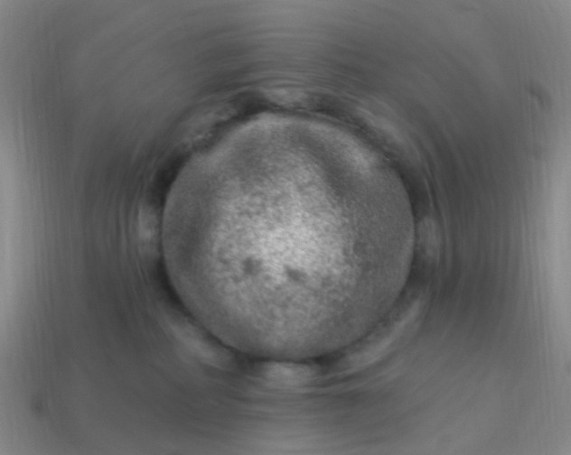 X0000113860234200910081712