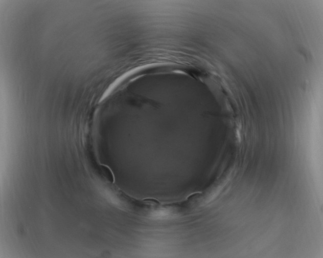 X0000113860235200910081712
