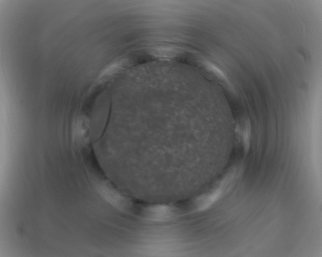 X0000113860237200910081712