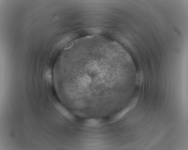 X0000113860238200910081712