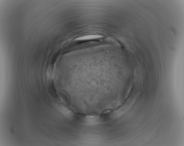 X0000113860240200910081712