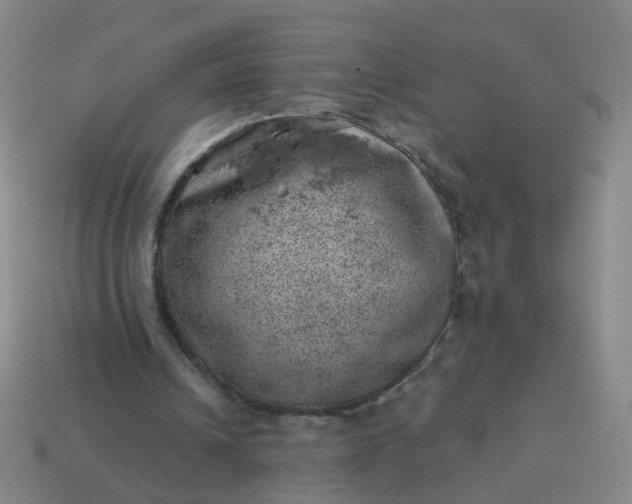 X0000113860242200910081712