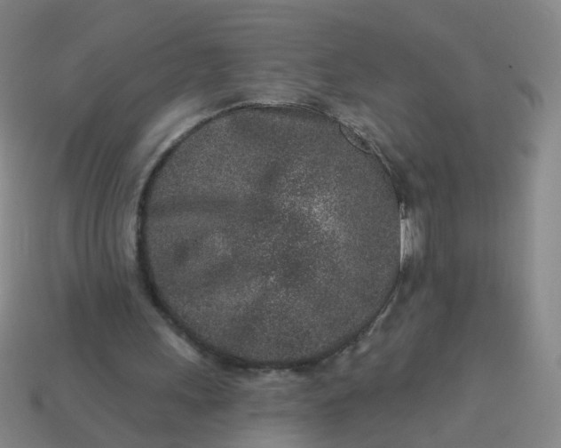 X0000113860243200910081712