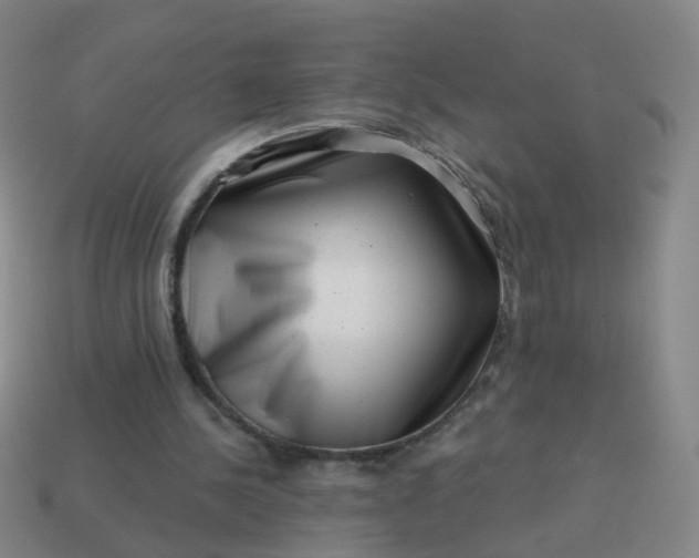 X0000113860244200910081712