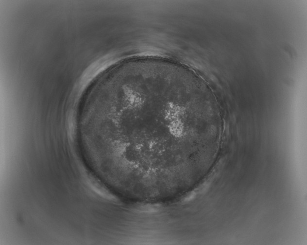 X0000113860247200910081712