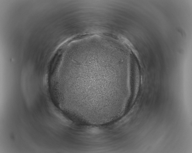 X0000113860249200910081712