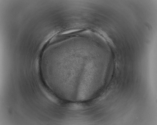 X0000113860250200910081712