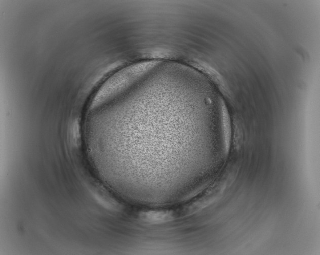 X0000113860251200910081712