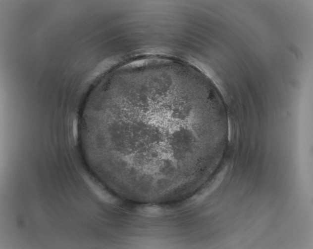 X0000113860253200910081712