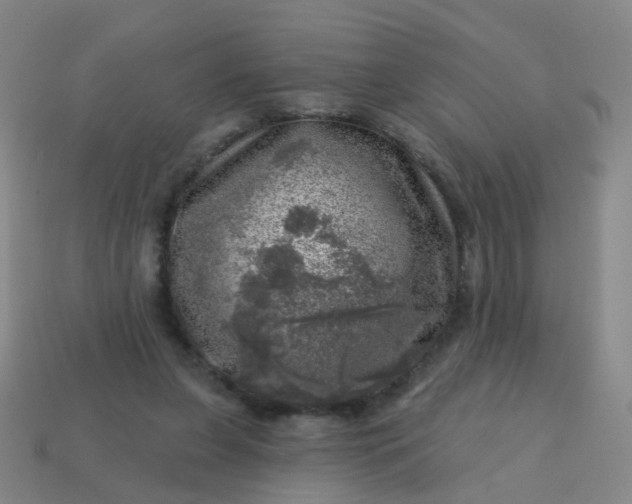 X0000113860255200910081712