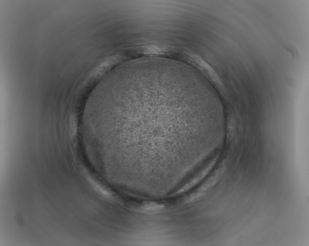 X0000113860257200910081712