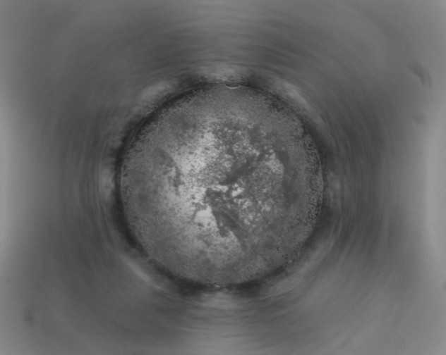 X0000113860259200910081712
