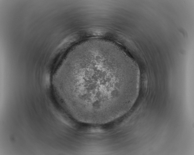 X0000113860262200910081712