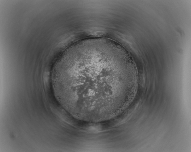 X0000113860263200910081712