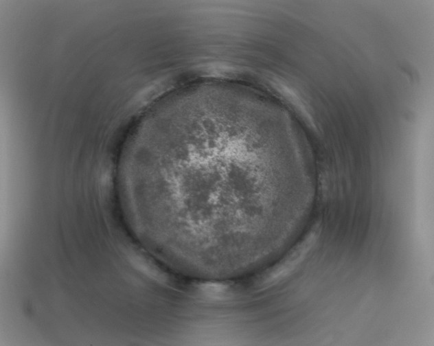 X0000113860265200910081712