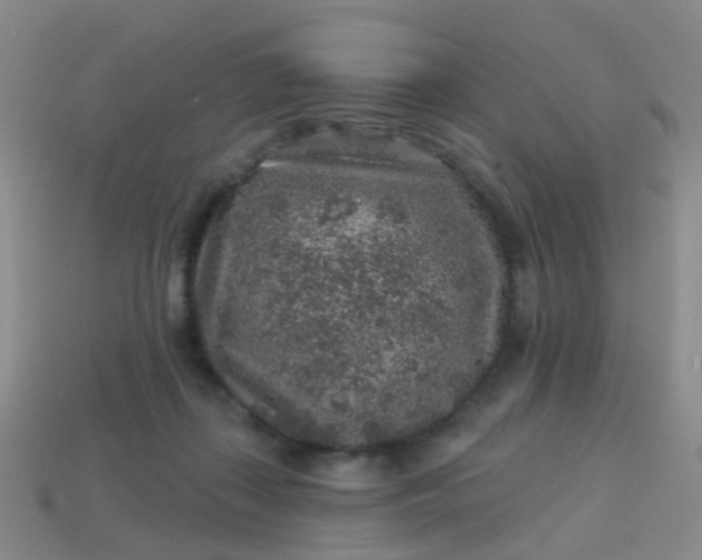 X0000113860267200910081712