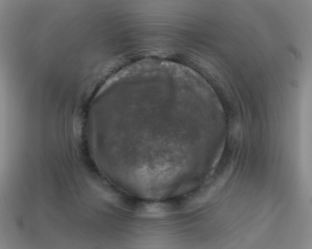 X0000113860268200910081712